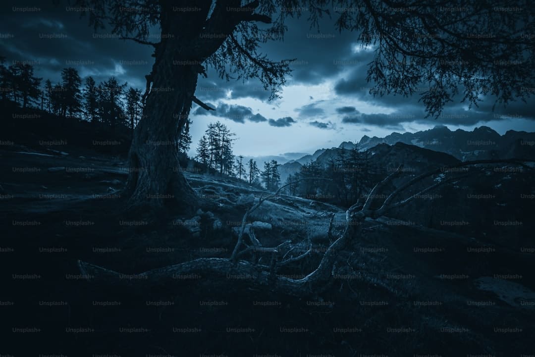四个字的歌曲